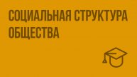 Социальная структура общества. Видеоурок по обществознанию 8 класс