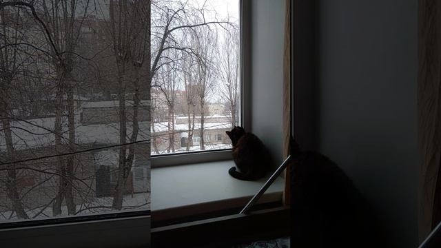 Шмонь-шелупонь