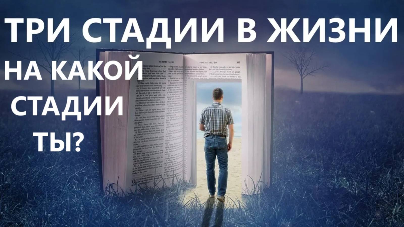 ТРИ СТАДИИ В ЖИЗНИ  ХРИСТИАНИНА пастор Вардан Мартиросян