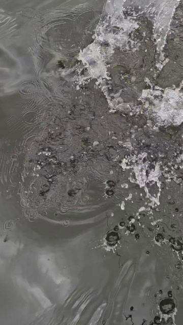 Трофейная рыбалка с гидом Spinningist63 в Самаре https://spinningist63.ru
#рыбалкасгидом