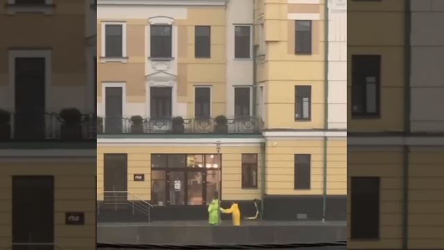 Мы нашли виноватых