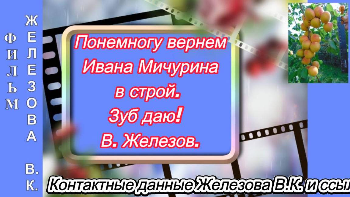 Понемногу вернем Ивана Мичурина в строй. Зуб даю!  В. Железов.