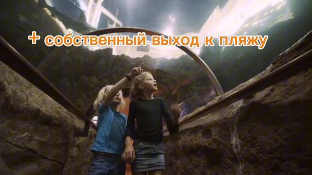 https://clck.ru/3GNikq

📅 Дата: 14 февраля 2025 года
⏰ Время: 12:00 (МСК)
📍 Формат: Онлайн, доступ