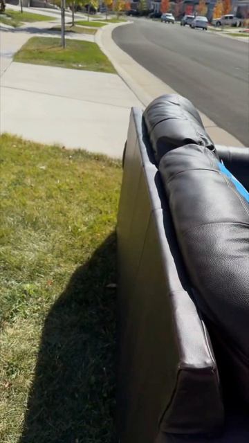 Кожаный диван бесплатно! #colorado #usa