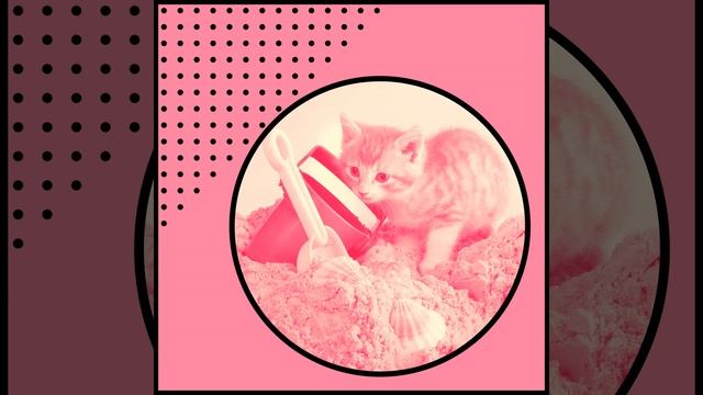 Настроения (Спящие кошки)