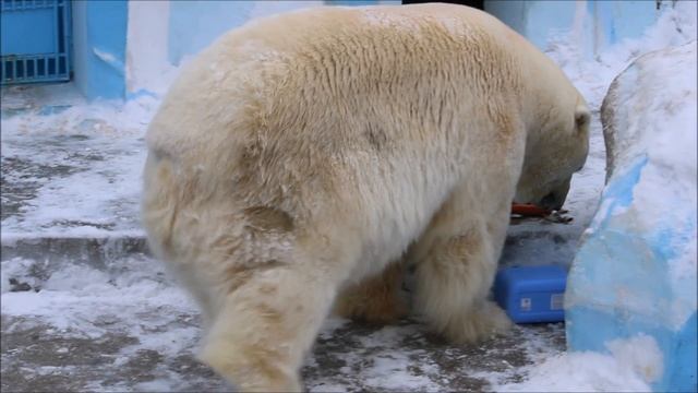 У Кая свои правила. Сначала завтрак, а потом игры с подарком 12.02.2025