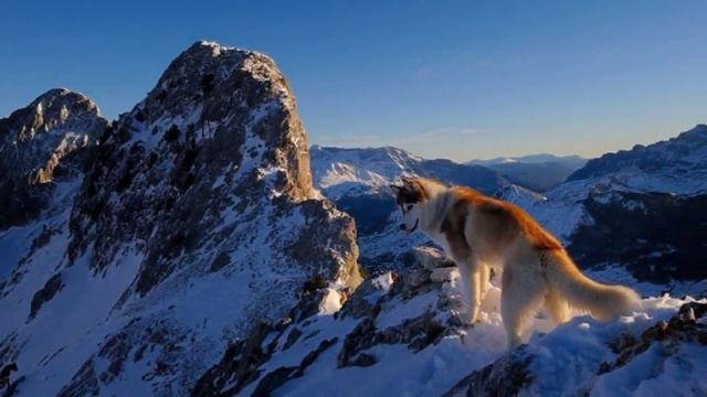 Этот белый туман.