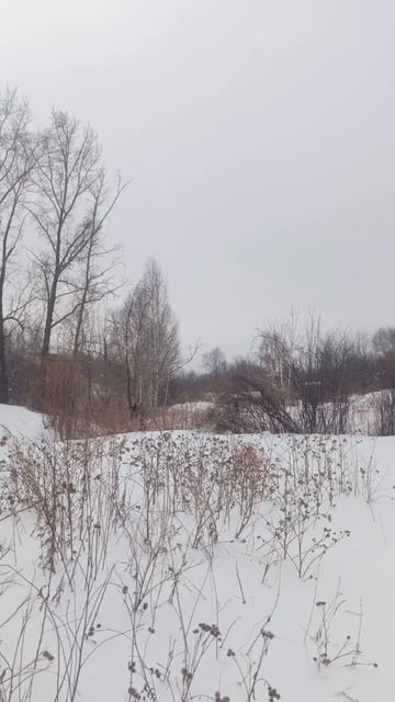 прогулка