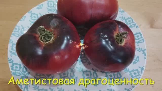Каталог томатов 2024 г. Часть 1 Проверенные сорта. г. Киров