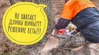 ‼️Валка дерева с проколом ‼️ Способ валки, когда длины шины не хватает