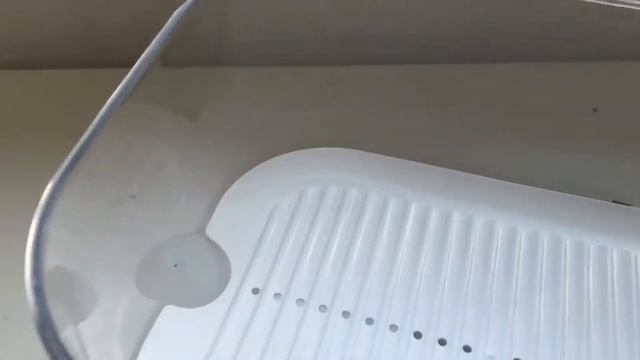 Ein neues Formicarium für Prenolepis Nites ODER DOCH NICHT