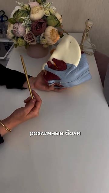 Красивая п🍑па - залог женского здоровья😉часть 2