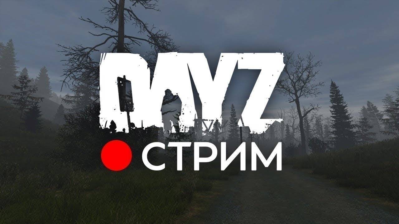 Чилллл СТРИМ в DayZ / DayZ Стрим / Стрим DayZ