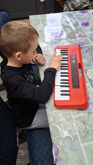 Миша играет на пианино