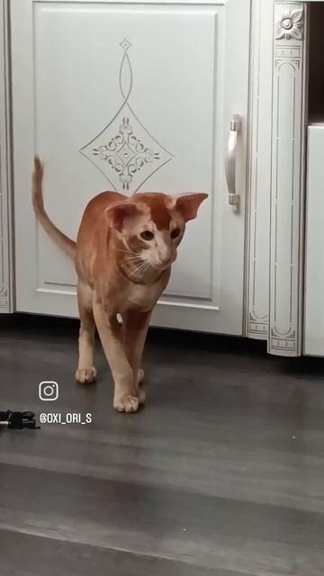 1000147124.mp4