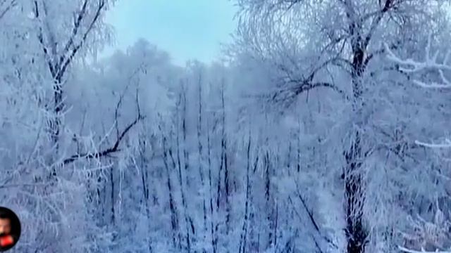 БЫТОВЫЕ. Истории из жизни, мистика и ужасы, творческие #172