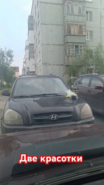 две красотки