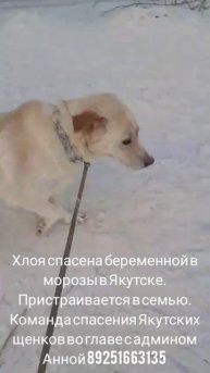 YouCut_20250214_175449603.mp4