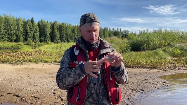 илыч