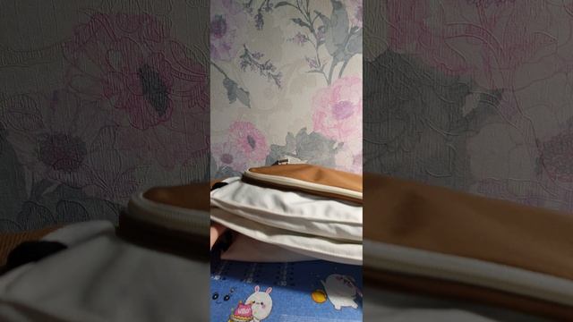 что ставлю в сумочку?