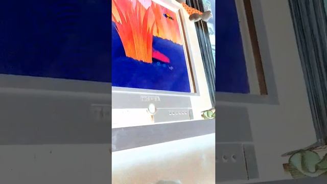 Щмдбчдчдсж