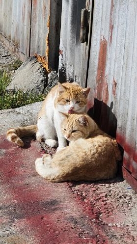 Мимишность видео зашкаливает🩷❤️🤗