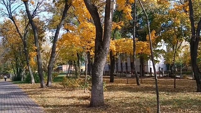 Юра Шатунов*Каждому своё*.Со мной по парку . Слушаю песню вникаю в слова, проживаю.