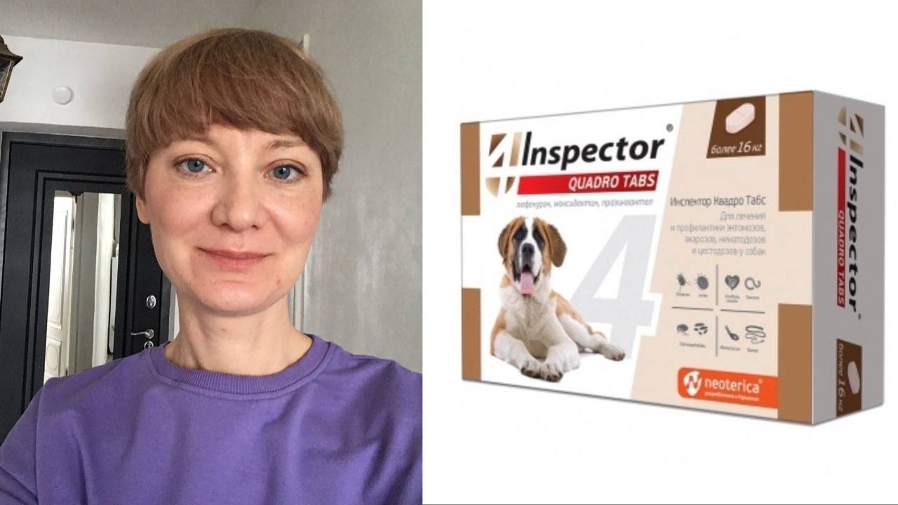 Inspector для собак в таблетках #уходзаживотными