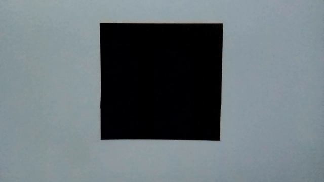 VID_20250214_093703.mp4
