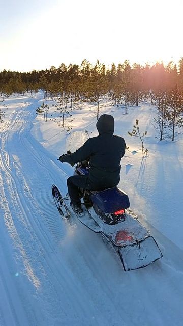 Катаем в тайге!