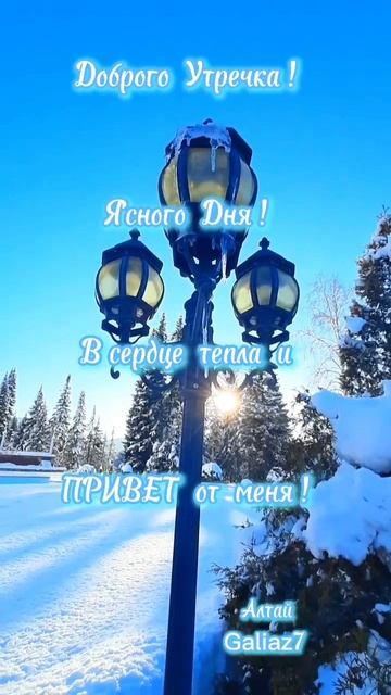 Доброе Утро! Хорошего настроения!