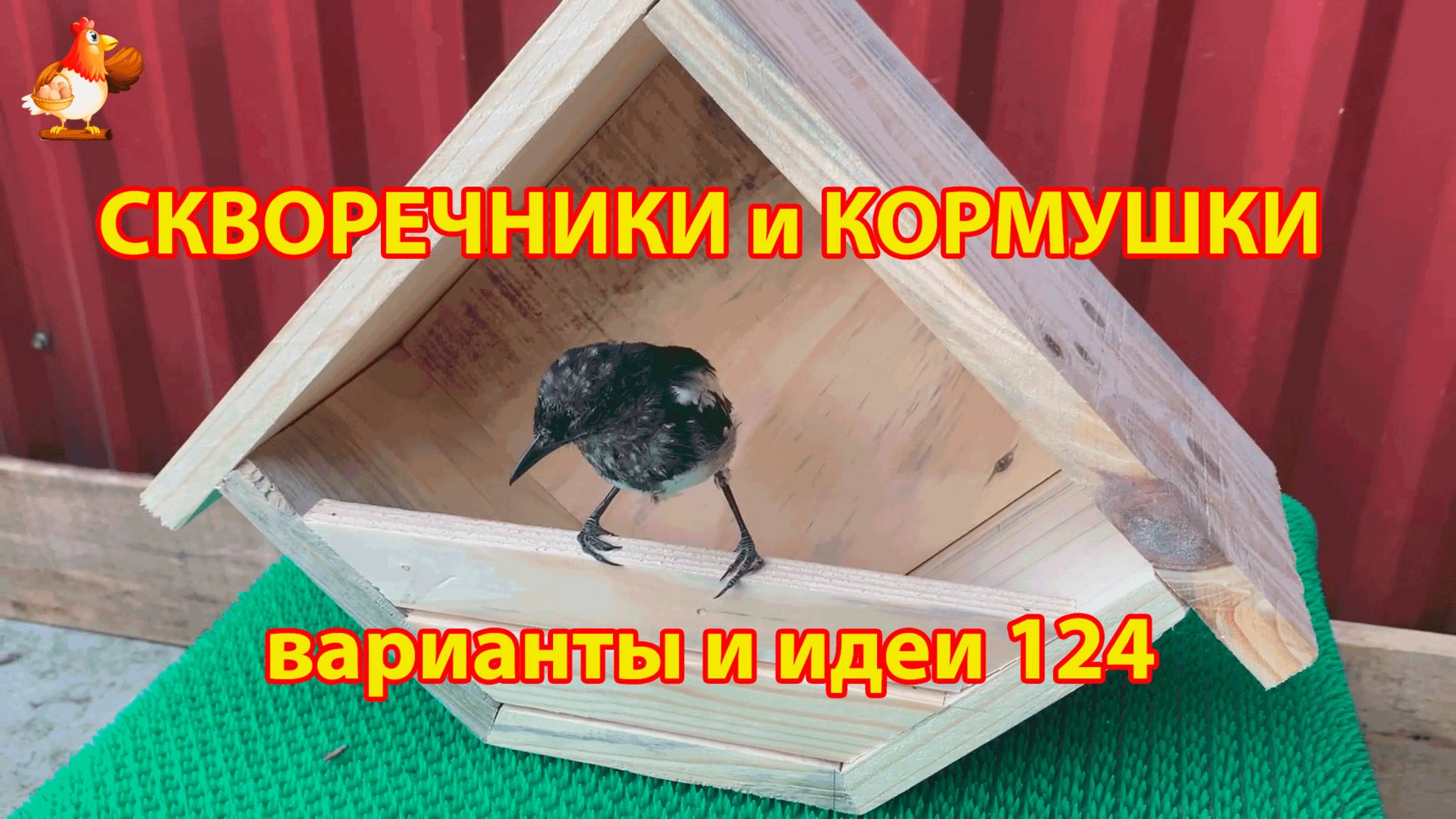 Скворечники и кормушки своими руками для птиц 124 🪚🪛🔨 Идеи для дачи и сада пошагово ❣️