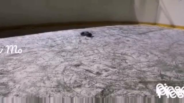 ПРЫЖКИ И ДРИФТ НА s max