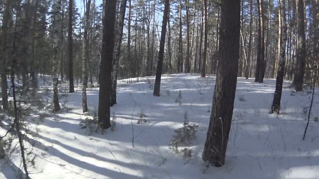 Увернись от дерева