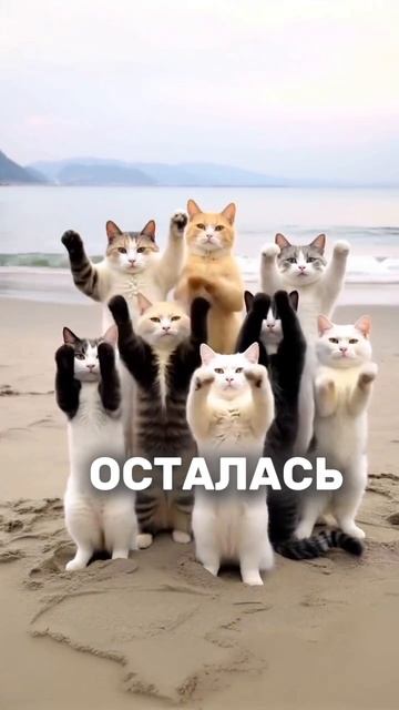 Хотели поднять ставку, но, стабильность дороже ! #ставка #бизнес #юмор #эльвира