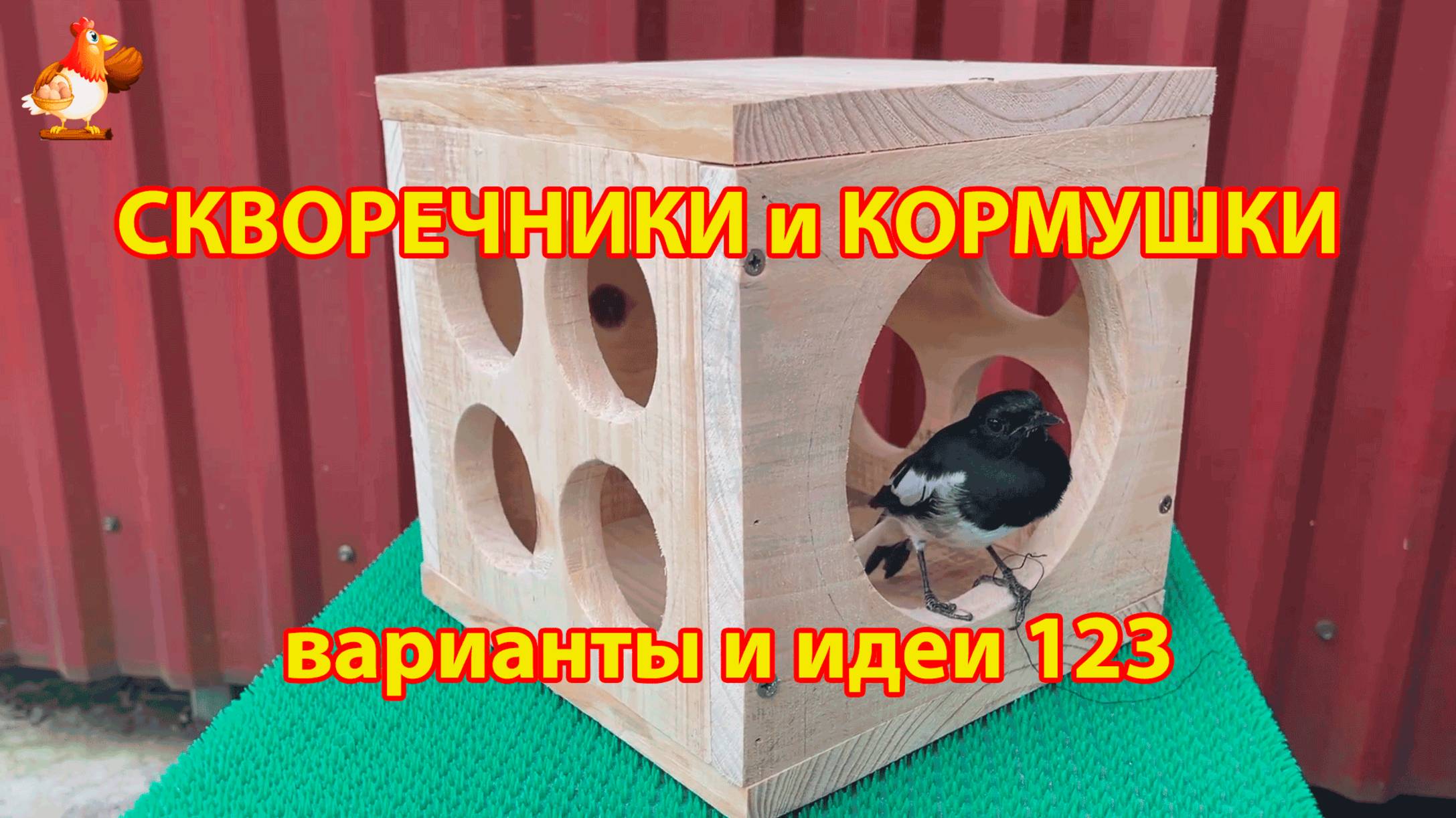 Скворечники и кормушки своими руками для птиц 123 🪚🪛🔨 Идеи для дачи и сада пошагово ❣️