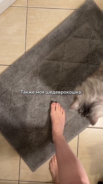 Как вернуть деньги за свои покупки?