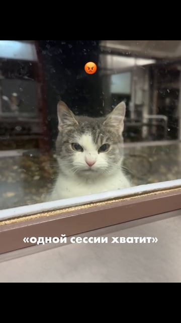 Психологи, было?