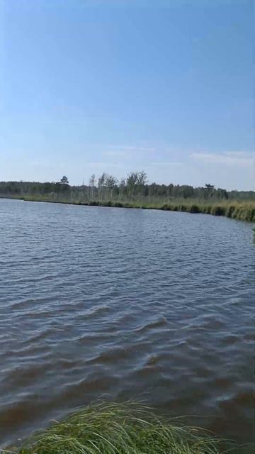 Озёра Тюкалинского района #рыбалка