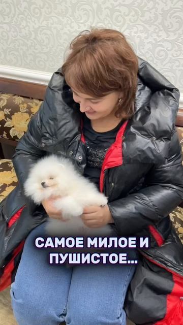 Наконец-то ты у нас появился! 🐶🐾 #семья #мужжена #семейныйблог #танязамужем