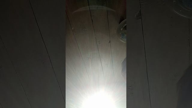 бутер