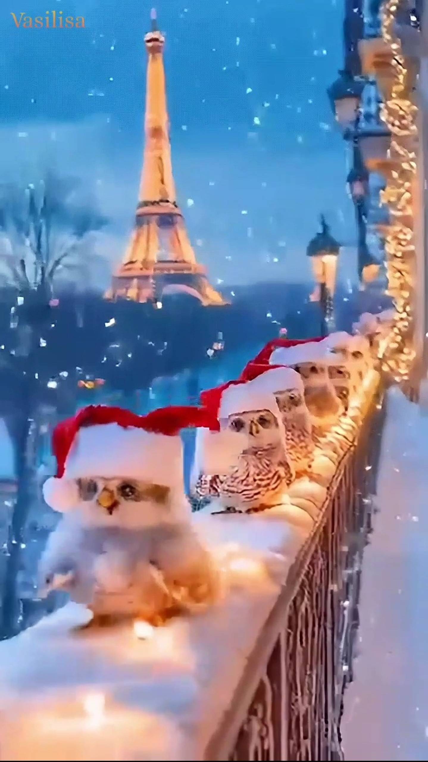 Снег вернулся 🥰 Снег ❄ Снежок