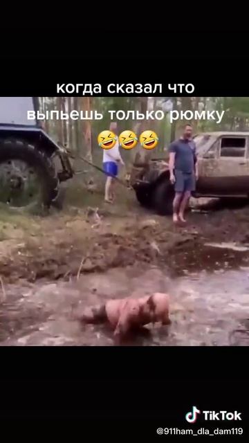 клип