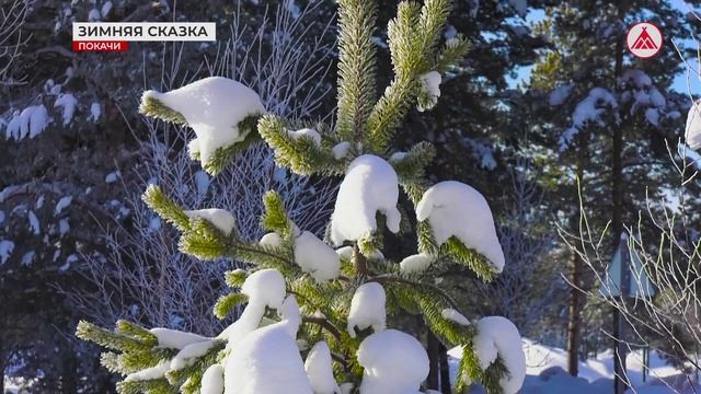 Зарисовка "ЗИМНЯЯ СКАЗКА"