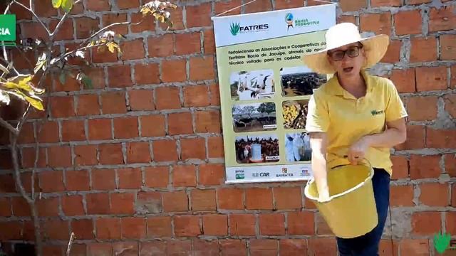 Alimentação Animal -  Produção Milho Hidropônico