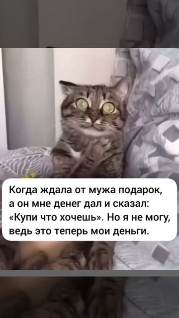 Жизненно 😂