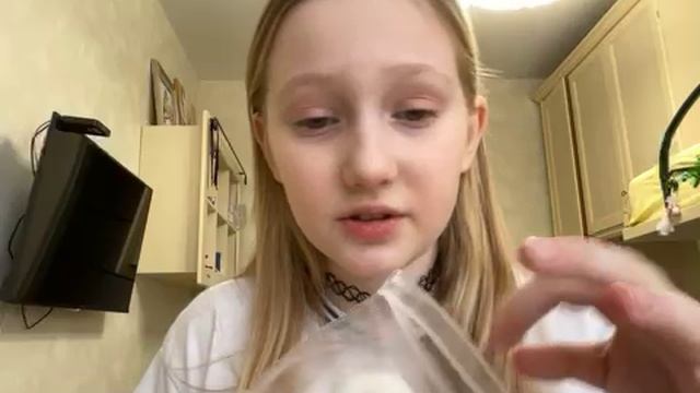Обзор таба сквишей