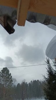 14 февраля 2025 г. Наблюдение для рисования.