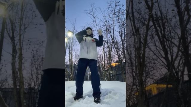 Ицюань (1282 день) Проработка 9-го уровня программы / Прокачиваем метод Саньшоу соло (13.02.25)