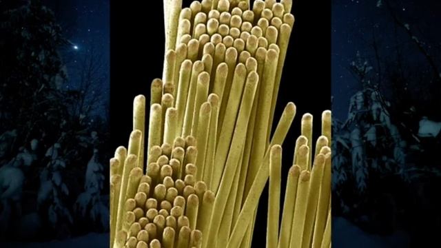 .... Как выглядят окружающие нас вещи под микроскоп....